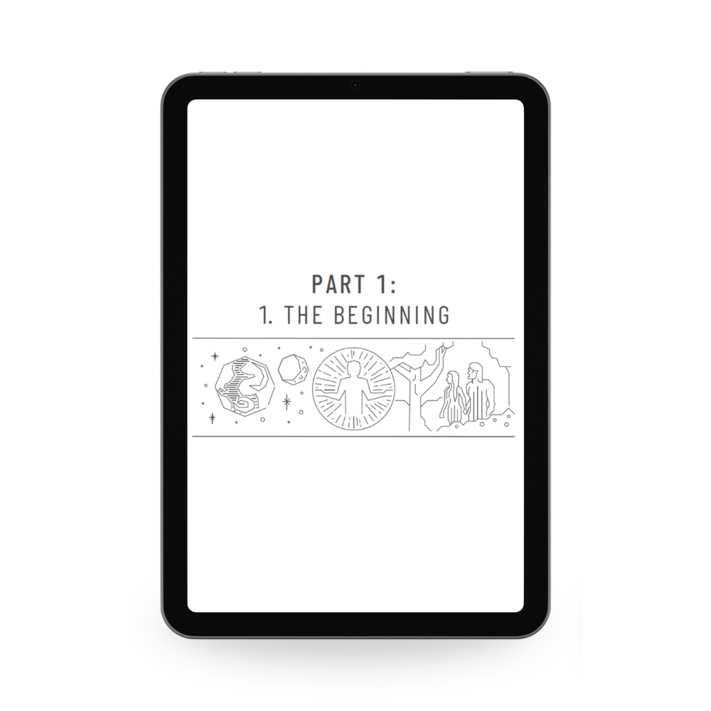 The Road — Digital Edition (ePub)