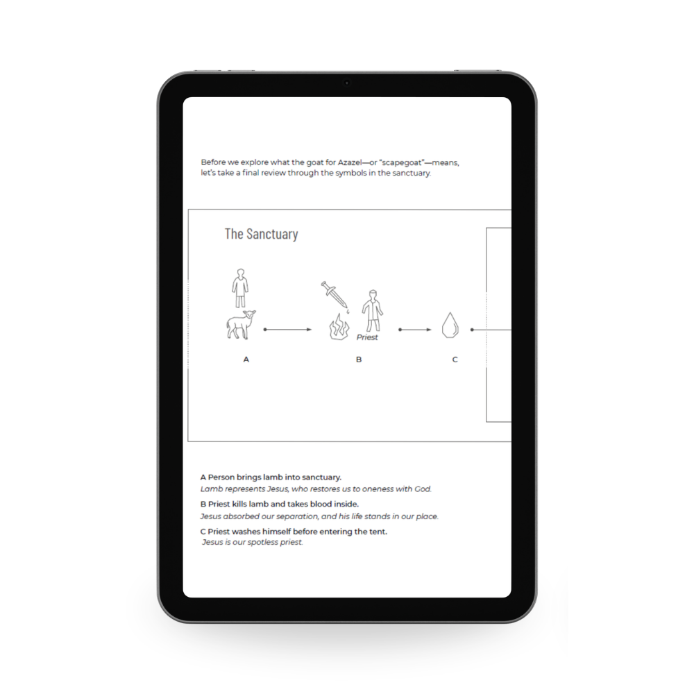 The Road — Digital Edition (ePub)